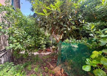 Villa Viale Casanova, Genova (neighborhood Cornigliano) - photo 9