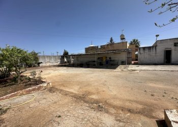 IMG_2453 - Villa Mazara del Vallo - foto 27