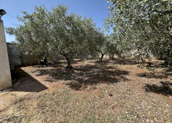 IMG_2455 - Villa Mazara del Vallo - foto 29