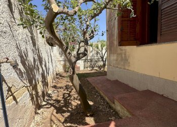 IMG_2457 - Villa Mazara del Vallo - foto 30