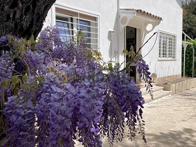 3 - Villa Via Riccione, Fiumicino - photo 2