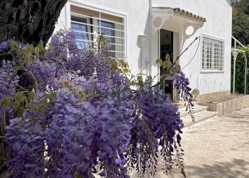 3 - Villa Via Riccione, Fiumicino - photo 2