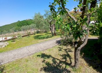 663f2be7-923b-4afd-8f72-ebeb116f1e9d - Portion of a house Via Poggio Vecchio 18 a, Guardea - photo 23