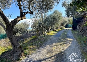VIALE INGRESSO - Trilocale Via Ranzi 176B, Pietra Ligure - foto 30