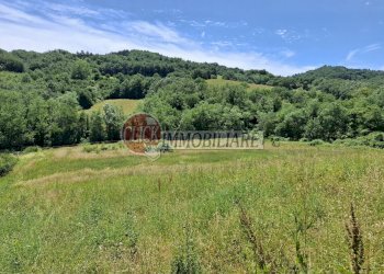 20 - Independent house Vaglia - photo 19