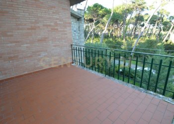 DSC_0237.JPG - Three-family Villa Via Murene 35, Grosseto - photo 28