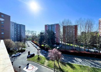 5902338852569943453.jpg - One-room apartment Via delle Betulle 2, Milano (neighborhood Quartiere degli Olmi) - photo 2
