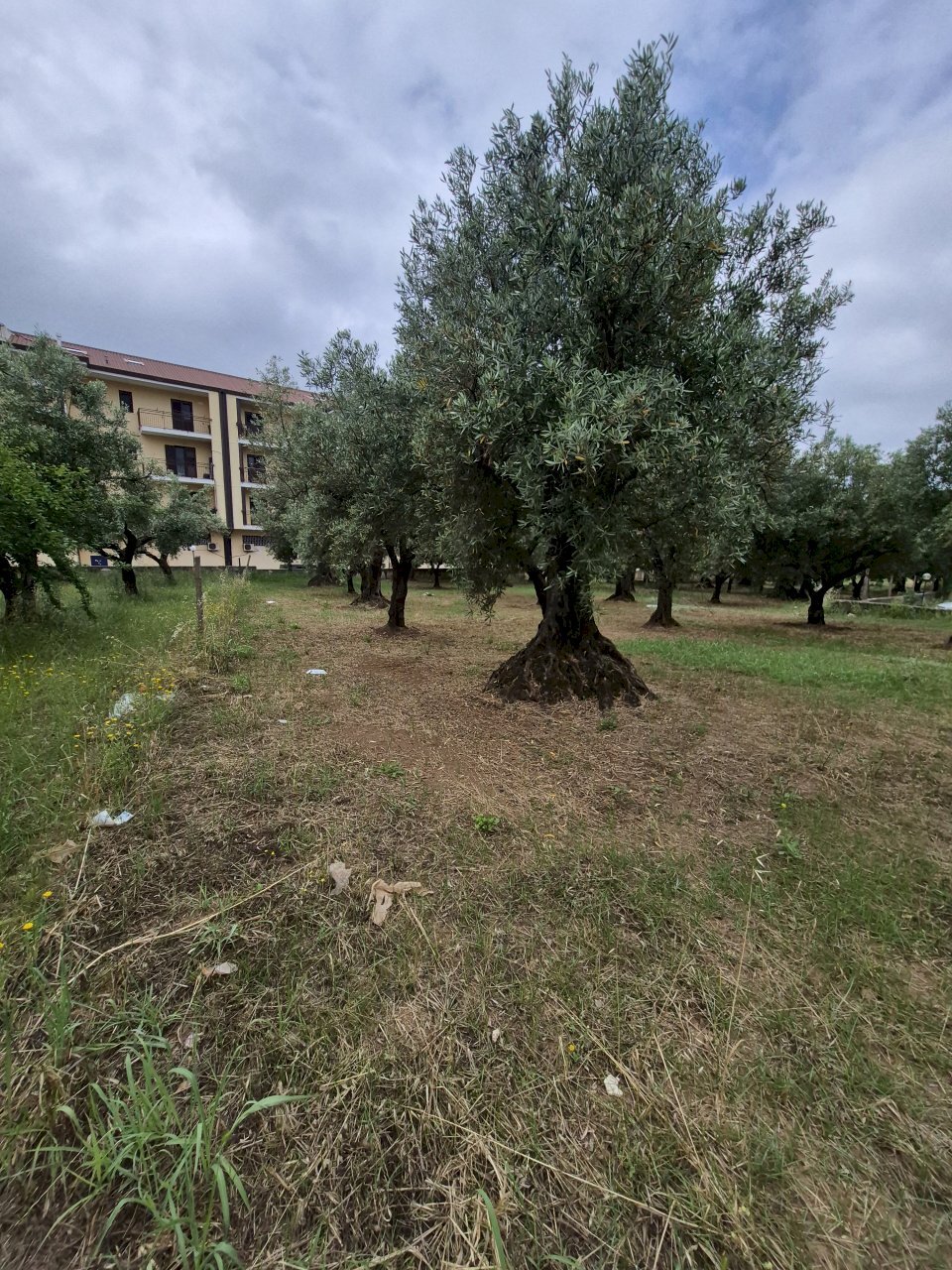 20260528_100248 - Terreno edificabile Via Ingegnere Giuseppe d'Audino 18, Lamezia Terme - foto 2