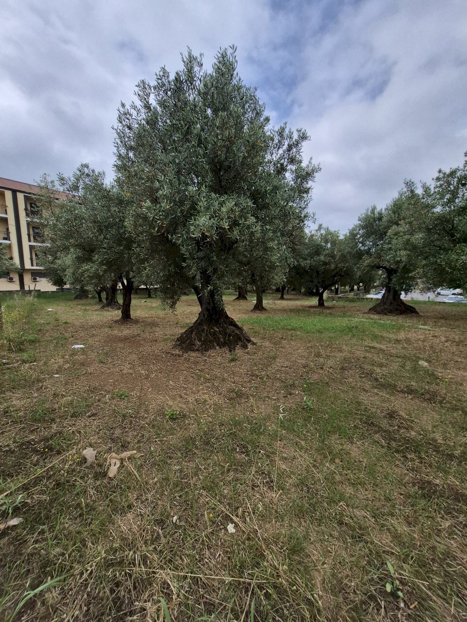 20260528_100250 - Terreno edificabile Via Ingegnere Giuseppe d'Audino 18, Lamezia Terme - foto 3