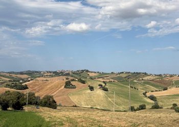 PANORAMA - Terraced Villa Ostra - photo 16