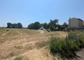 Building land Via Maggia, Ravenna (neighborhood San Zaccaria) - photo 5
