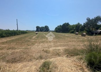 Building land Via Maggia, Ravenna (neighborhood San Zaccaria) - photo 6