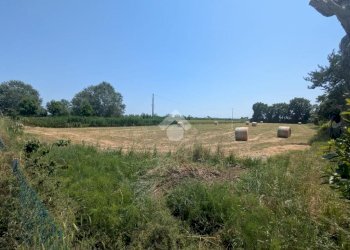Building land Via Maggia, Ravenna (neighborhood San Zaccaria) - photo 7
