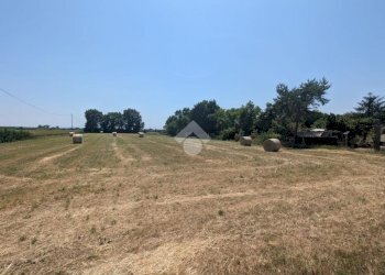 Building land Via Maggia, Ravenna (neighborhood San Zaccaria) - photo 8