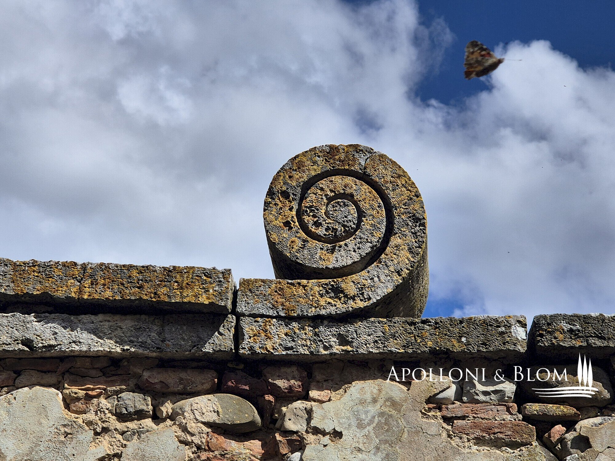 Rustic Strada di Certosa, 137, Asciano - photo 2