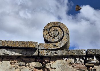 Rustic Strada di Certosa, 137, Asciano - photo 2