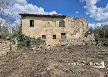 Rustic Strada di Certosa, 137, Asciano - photo 3