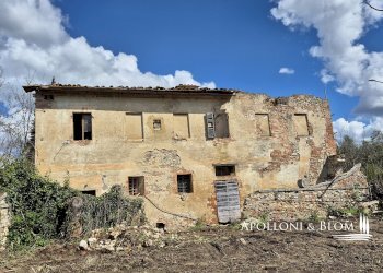 Rustic Strada di Certosa, 137, Asciano - photo 4