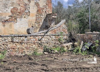 Rustic Strada di Certosa, 137, Asciano - photo 5
