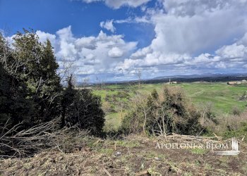 Rustic Strada di Certosa, 137, Asciano - photo 6
