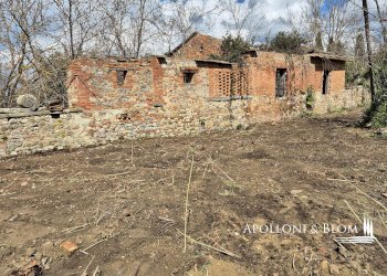 Rustic Strada di Certosa, 137, Asciano - photo 8