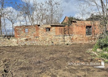 Rustic Strada di Certosa, 137, Asciano - photo 9