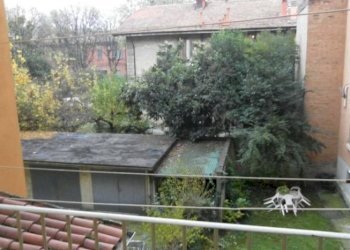 Trilocale Bologna - foto 12