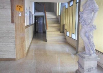 Trilocale Bologna - foto 18