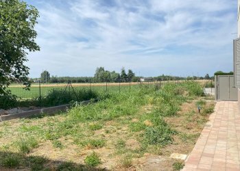 Foto 12 - Bilocale Strada Argini Nord, Lesignano de' Bagni - foto 12