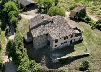 DJI_0889 - Azienda agricola Vocabolo Acquaviva 102, Allerona - foto 6