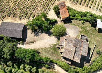 DJI_0895 - Azienda agricola Vocabolo Acquaviva 102, Allerona - foto 14
