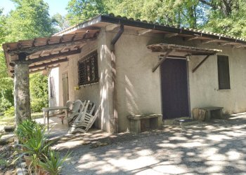 IMG20260612154900 - Rustic Vocabolo Vaccano 75, Montecastrilli - photo 25