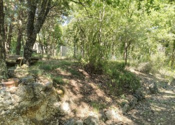 IMG20260612154922 - Rustic Vocabolo Vaccano 75, Montecastrilli - photo 28