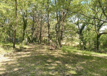 IMG20260612154933 - Rustic Vocabolo Vaccano 75, Montecastrilli - photo 29