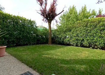 Appartamento Conegliano - foto 4