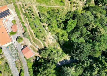 Terreno agricolo Via Castagnotta, Costigliole Saluzzo - foto 3