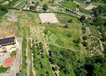 Terreno agricolo Via Castagnotta, Costigliole Saluzzo - foto 8