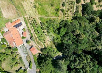 Terreno agricolo Via Castagnotta, Costigliole Saluzzo - foto 11