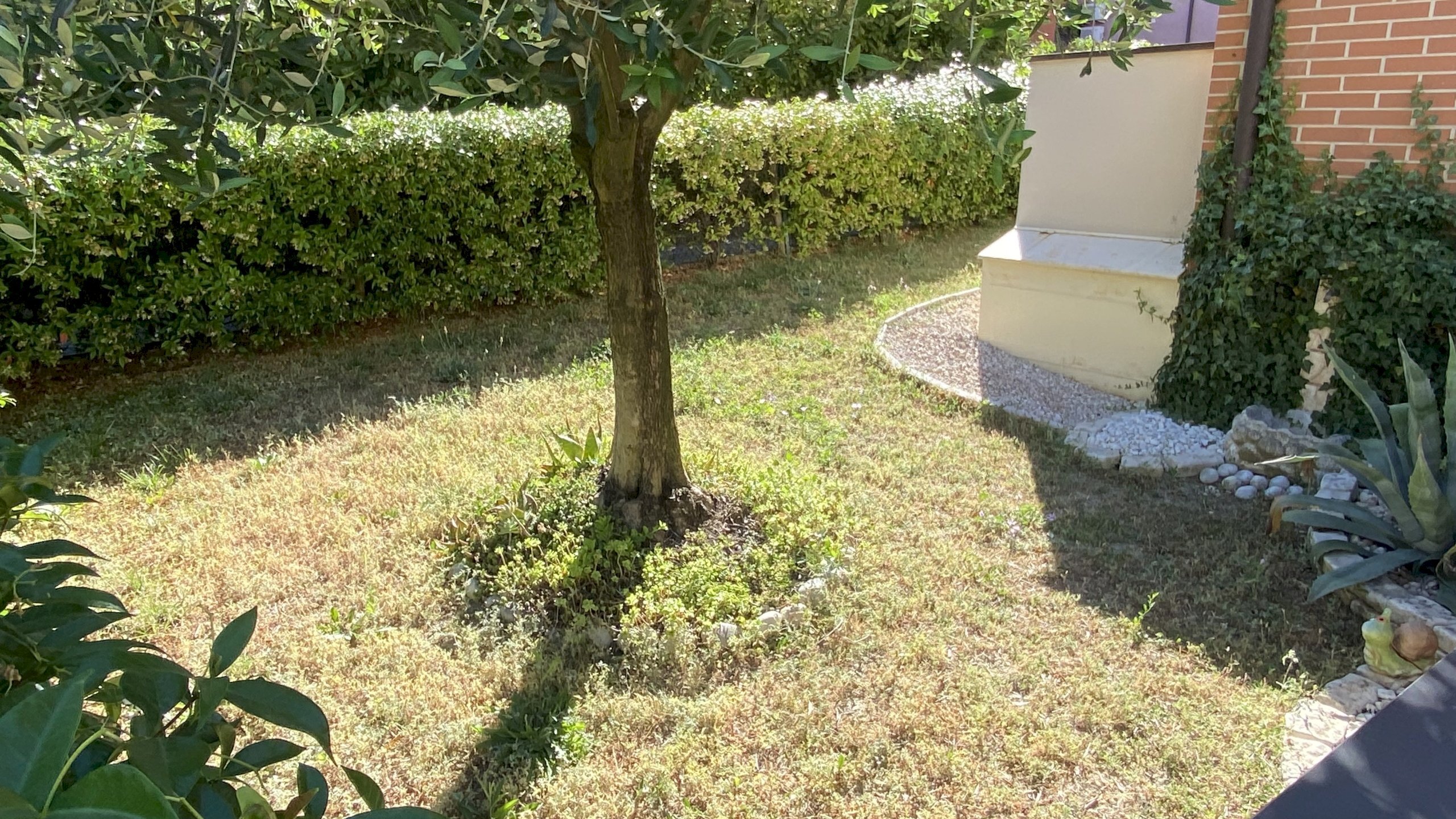 Bilocale Imola - foto 3