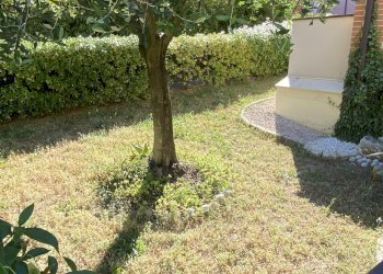 Bilocale Imola - foto 3