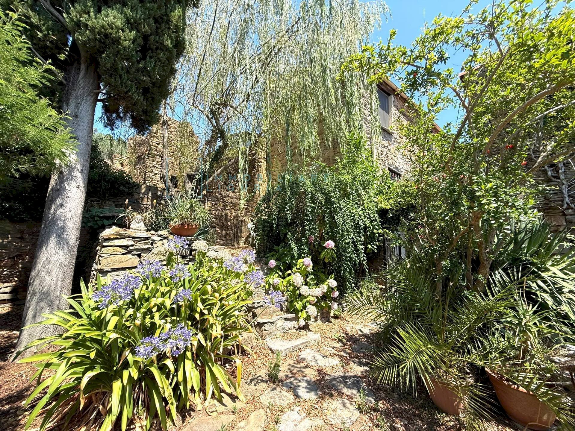 Foto 2 - Rustico Frazione ligo case di là, Villanova d'Albenga - foto 2