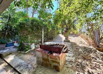 Giardino - Independent house Contrada Cicala
 
sn, Partinico - photo 4