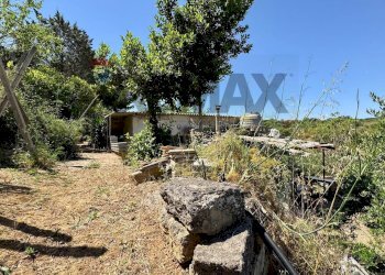 Giardino - Independent house Contrada Cicala
 
sn, Partinico - photo 23
