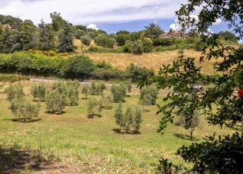 Foto 62 - Villa Strada di Selvagrossa
 
3, Campagnano di Roma - foto 62