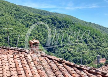 Foto 41 - Rustico Via per Pascoso
 
2, Pescaglia - foto 41