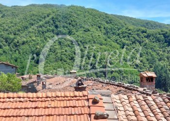 Foto 42 - Rustico Via per Pascoso
 
2, Pescaglia - foto 42