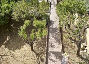 Giardino - Independent house via Sicilia
 
291, Valderice - photo 17