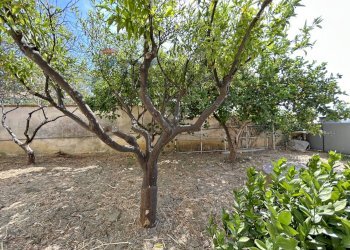 Giardino - Independent house via Sicilia
 
291, Valderice - photo 87