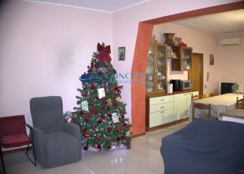 Foto 4 - Casa semi indipendente contrada Pignotto
 
snc, Controguerra - foto 4
