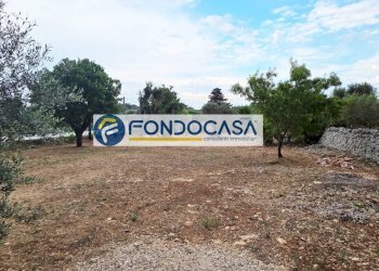 Foto 35 - Casa semi indipendente Via Pescara, San Vito dei Normanni - foto 35